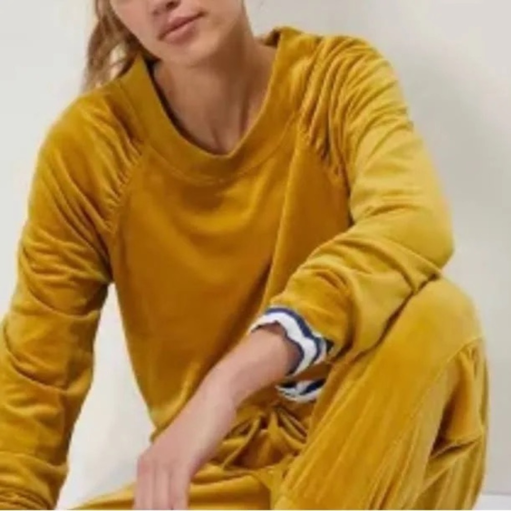 Anthropologie velvet sweatshirt